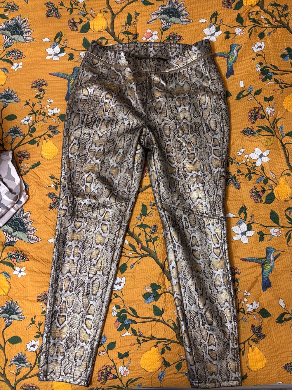 Free People Snake Print pants in Black, Brown, Gold